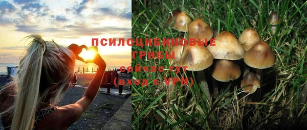 каннабис Аркадак